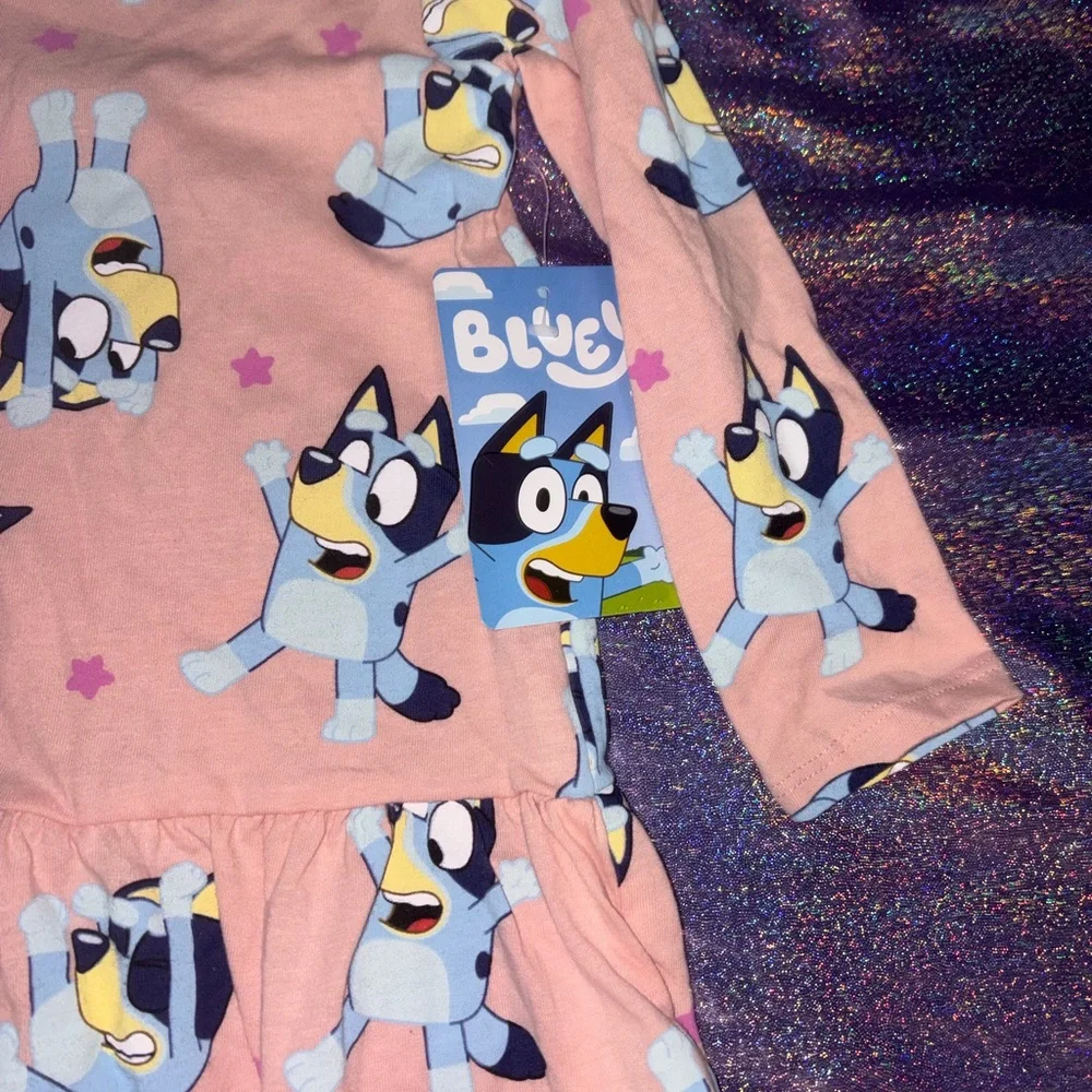Toddler Bluey Dress